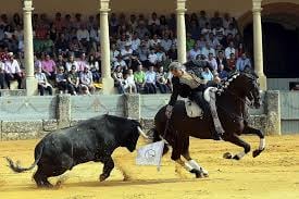 238847500_2274240572706766_7117663902086255828_n - suite informacion