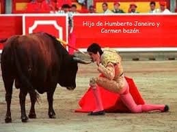 241976311_2299350600195763_3614368835275183604_n - suite informacion