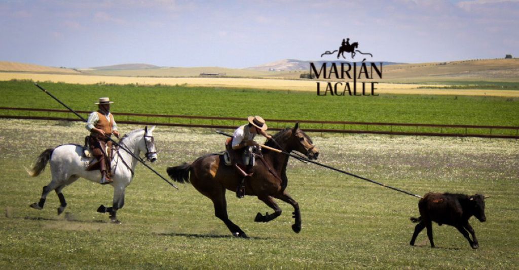 En los últimos años se ha notado un auge en la disciplina del acoso y derribo