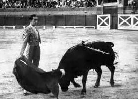 "La Tauromaquia  es la pasión que nos une..." Felipe de Jesús Estrada Ramírez