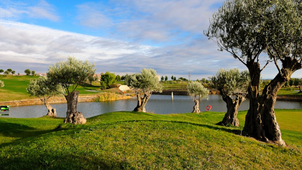 El Campeonato de España de FFAA de Pitch & Putt, a por su decimocuarta edición en Sotoverde campeonato espa - El Campeonato de España de FFAA de Pitch & Putt, a por su decimocuarta edición en Sotoverde