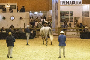 Sicab y Madrid Horse Week, colofón de temporada. Marian Lacalle