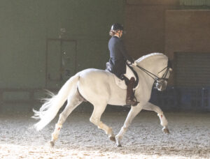 Sicab y Madrid Horse Week, colofón de temporada. Marian Lacalle