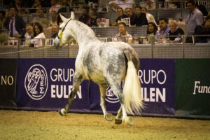 Sicab y Madrid Horse Week, colofón de temporada. Marian Lacalle