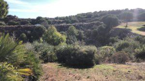 Prueba para Primer "Pitch & Drive", Alhaurín golf