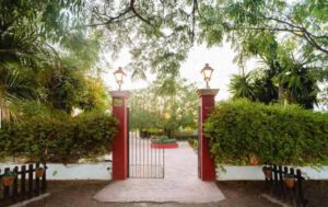 Arte y gallardía, así era el último Mandón de la Torería en México