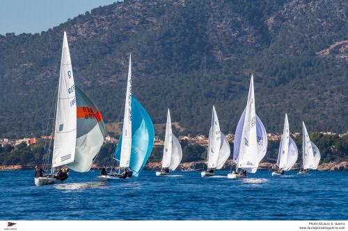 Puck gana la V Copa del Mediterráneo de la clase Dragon en Puerto Portals puck gana - Puck gana la V Copa del Mediterráneo de la clase Dragon en Puerto Portals