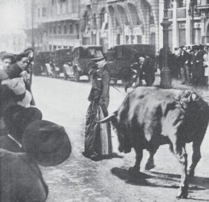 Un toro bravo camino del matadero se escapa y se dirige hacia la Gran Vía; por si te interesa el mundo del toro