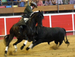 Pablo Hermoso de Mendoza “El Torero a Caballo”…