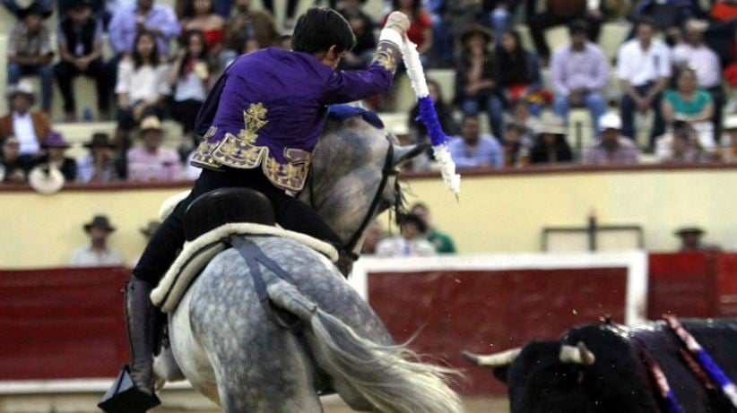 Pablo Hermoso de Mendoza “El Torero a Caballo”… pablo hermoso - Pablo Hermoso de Mendoza “El Torero a Caballo”…