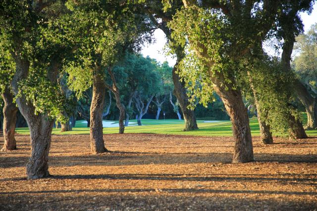 El Real Club Valderrama, deja patente su compromiso absoluto con el medio ambiente y el uso de recursos naturales real club - El Real Club Valderrama, deja patente su compromiso absoluto con el medio ambiente y el uso de recursos naturales