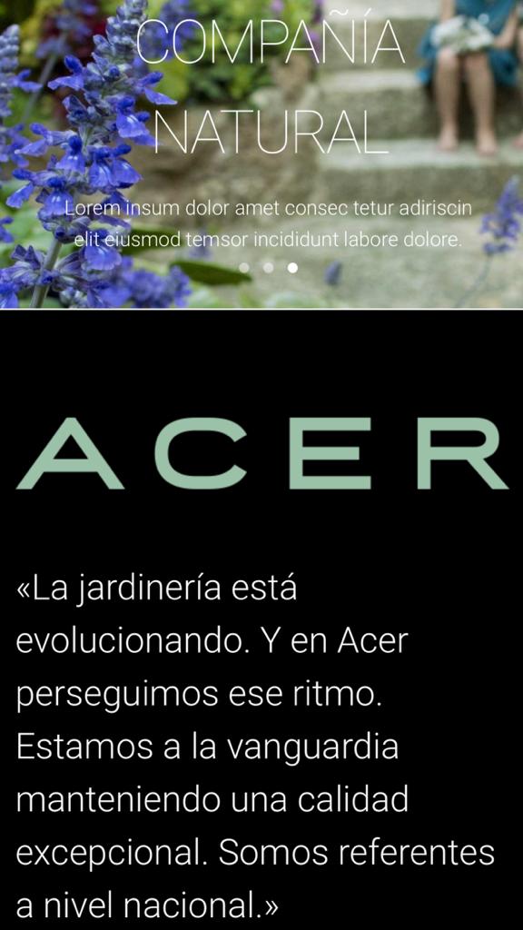 Casadas, monjas, rameras y brujas... LA MUJER SEGÚN FRAY HERNANDO DE TALAVERA