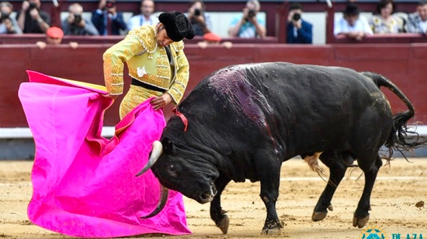 Morante, Premio Nacional de Tauromaquia de la edición 2021