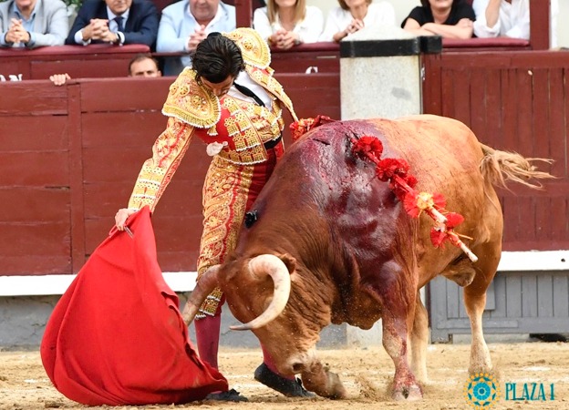 Morante, Premio Nacional de Tauromaquia de la edición 2021