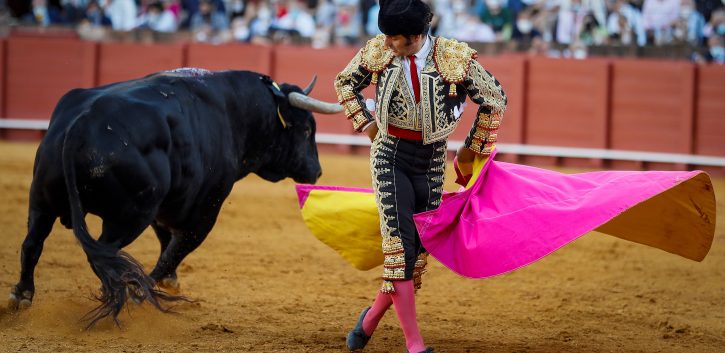 Morante, Premio Nacional de Tauromaquia de la edición 2021