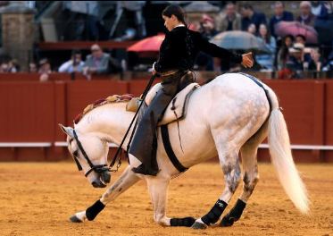Lea Vicens - Joyeux anniversaire