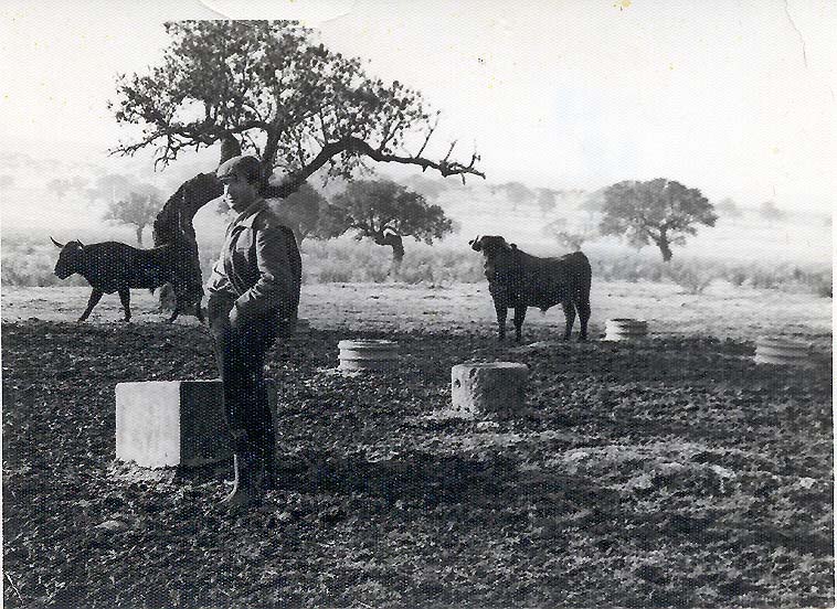 Don Victorino Martín Andrés el mítico Ganadero