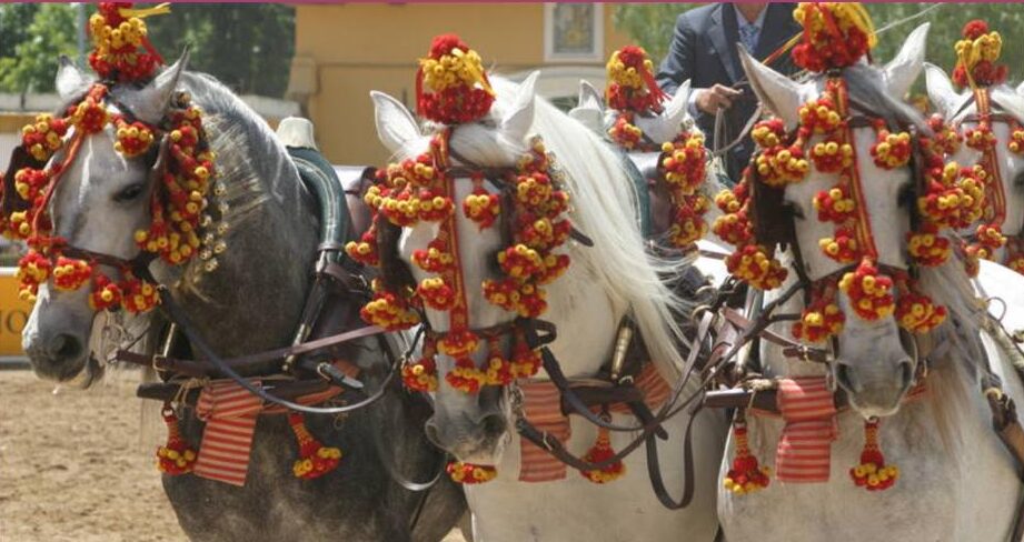 Jerez presenta una feria que recupera la corrida concurso jerez feria - Jerez presenta una feria que recupera la corrida concurso