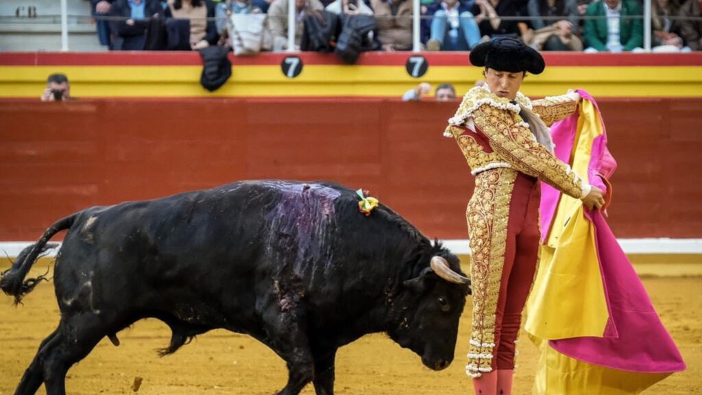 A hombros Manzanares y Roca Rey en Illescas illescas hombros - A hombros Manzanares y Roca Rey en Illescas