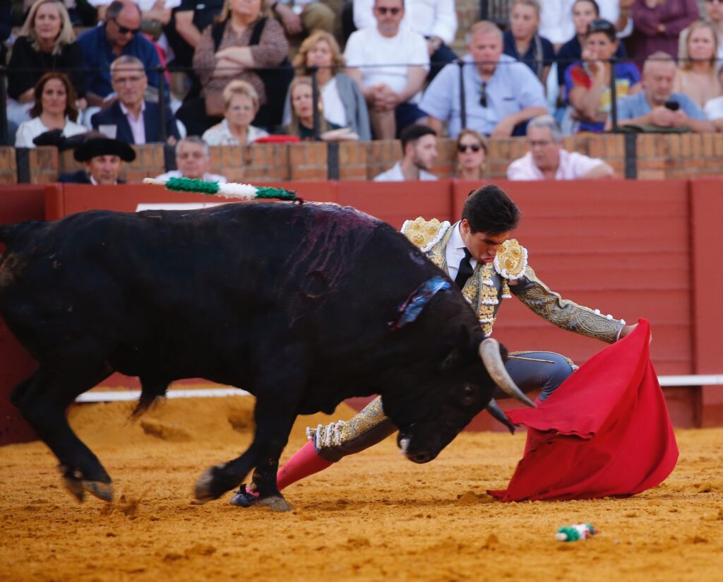 fuerza sino - La fuerza del sino de Álvaro Lorenzo salvo la tarde en La Maestranza -MRA