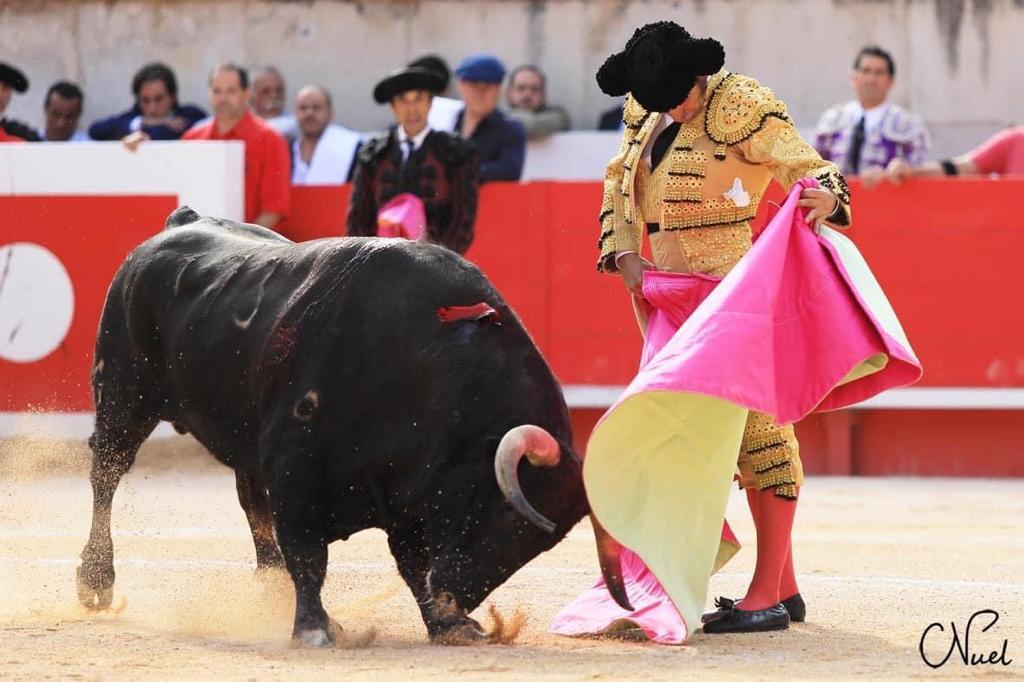 Morante vuelve a Valencia en una Feria de Julio que será presentada de forma oficial el miércoles valencia rcoles - Morante vuelve a Valencia en una Feria de Julio que será presentada de forma oficial el miércoles