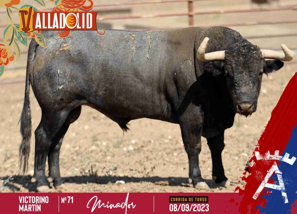 Estos son los Victorino de «El Juli», Emilio de Justo y Roca Rey estos victorino - Estos son los Victorino de «El Juli», Emilio de Justo y Roca Rey
