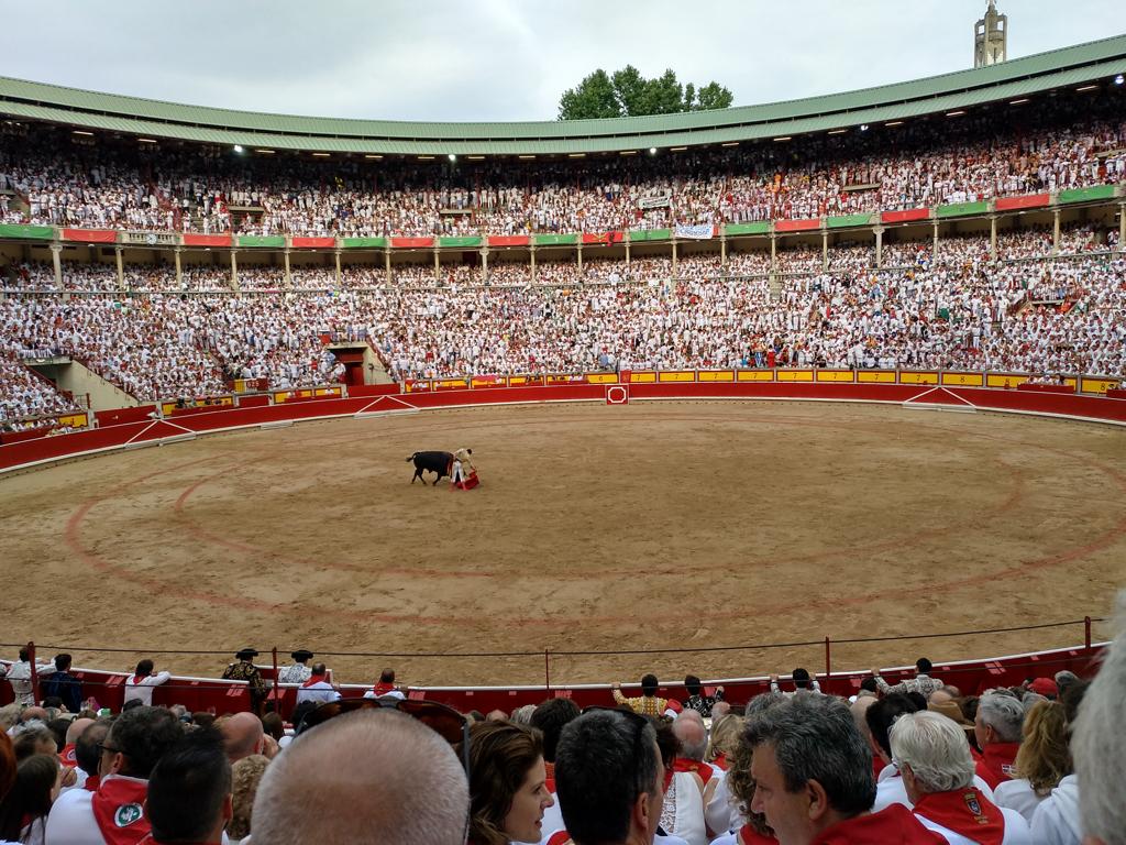 ¿San Fermines sin toros? ¡Qué disparate! fermines toros - ¿San Fermines sin toros? ¡Qué disparate!