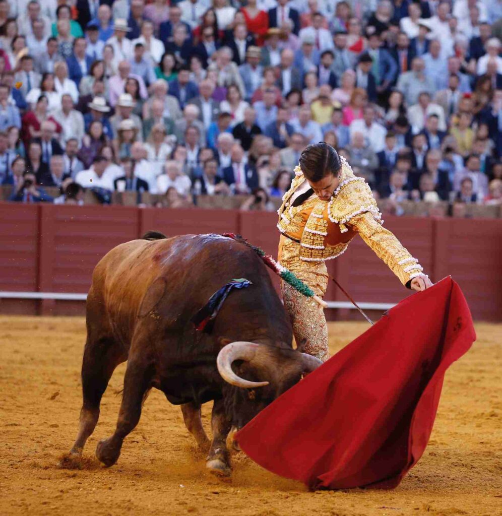 Doctores tiene la tauromaquia – M. Recio doctores tiene - Doctores tiene la tauromaquia – M. Recio