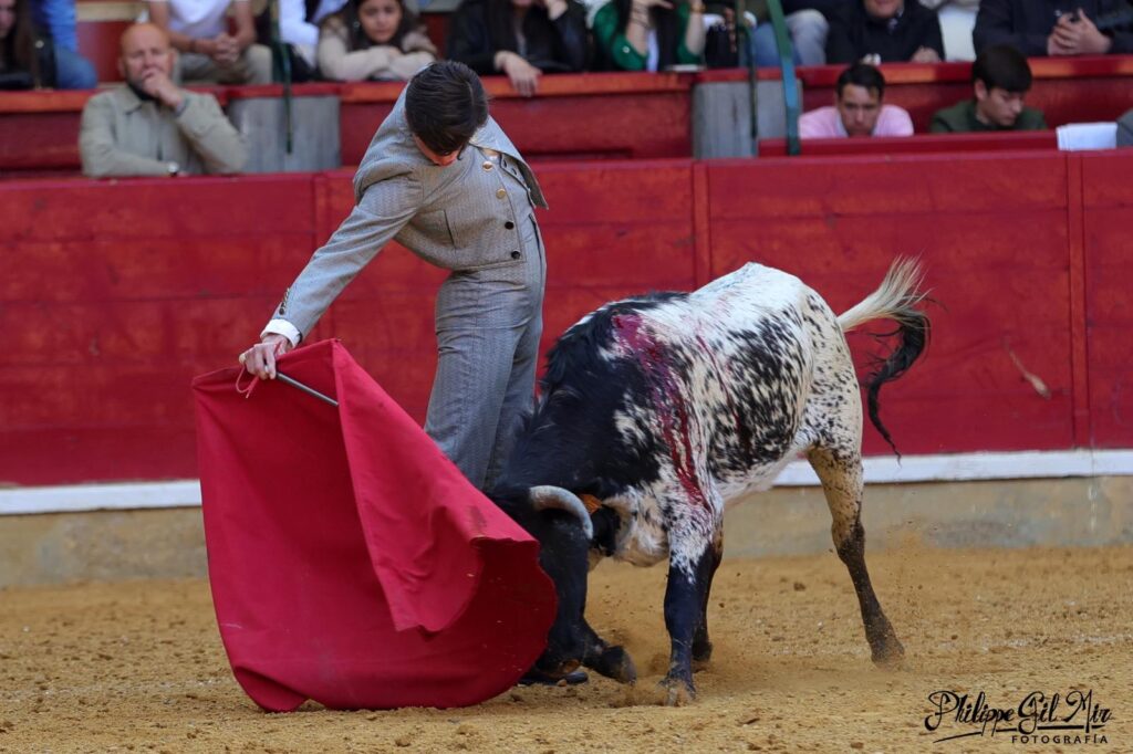 Bruno Martínez en el Coso de la MIsericordia bruno mart - Bruno Martínez en el Coso de la MIsericordia