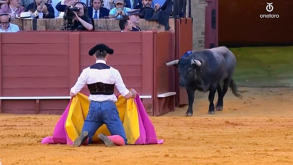 Hazaña de Don Manuel Escribano en la Plaza de Toros de la Real Maestranza de Caballería de Sevilla. haza manuel - Hazaña de Don Manuel Escribano en la Plaza de Toros de la Real Maestranza de Caballería de Sevilla.
