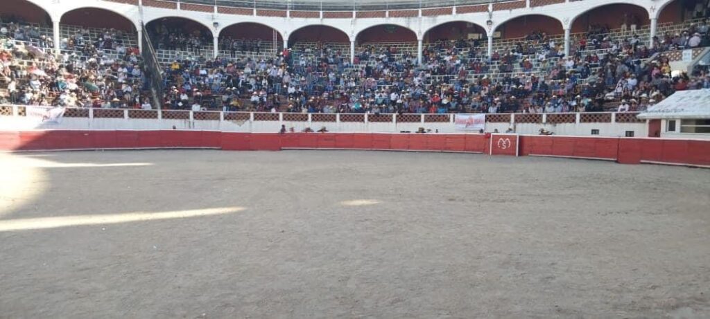 Acción antitaurina, reacción a la española – Manuel Recio Abad manuel recio - Acción antitaurina, reacción a la española – Manuel Recio Abad