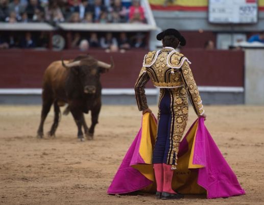 Sebastián Castella; Feliz Cumpleaños Maestro,