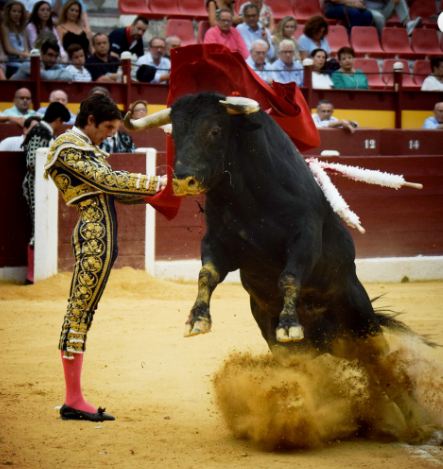 Sebastián Castella; Feliz Cumpleaños Maestro,