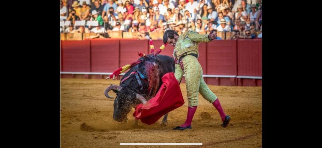 LA FE Y LAS PROFUNDAS RAÍCES RELIGIOSAS DE LOS TOREROS — Manuel Recio Abad. toreros manuel - LA FE Y LAS PROFUNDAS RAÍCES RELIGIOSAS DE LOS TOREROS — Manuel Recio Abad.