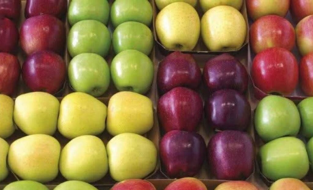 LAS MANZANAS — Manuel Recio Abad. manuel recio - LAS MANZANAS — Manuel Recio Abad.