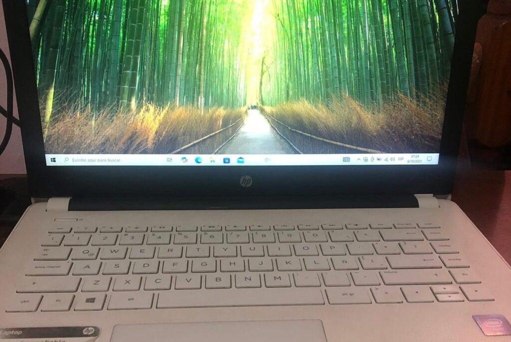 -CTRL Z-