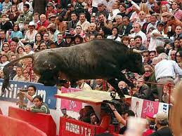 «Pajarito», Tal Día como Hoy, 29 de Enero pero de 2006; Voló en la Plaza México… plaza xico - «Pajarito», Tal Día como Hoy, 29 de Enero pero de 2006; Voló en la Plaza México…