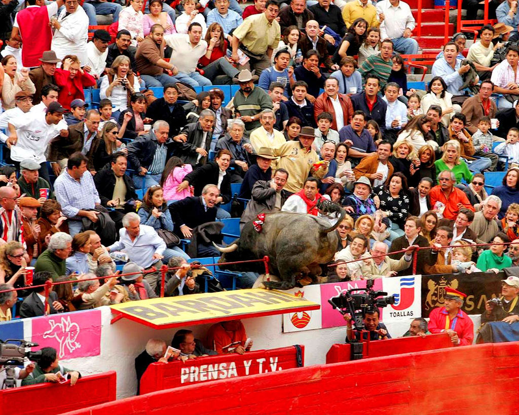 "Pajarito", Tal Día como Hoy, 29 de Enero pero de 2006; Voló en la Plaza México…