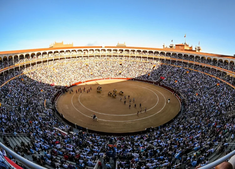 La Comunidad de Madrid aprueba los carteles de la Feria de San Isidro 2026 comunidad madrid - La Comunidad de Madrid aprueba los carteles de la Feria de San Isidro 2026