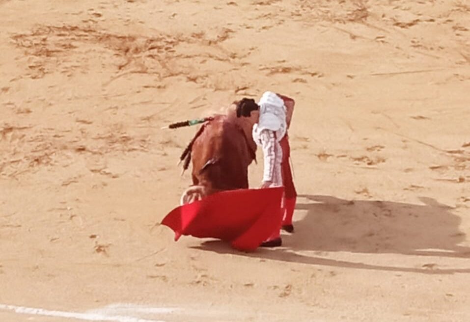 La Plaza de toros de Toledo, celebró la Corrida conmemorativa de su décimo aniversario de alternativa y a beneficio del hospital de parapléjicos de Toledo.