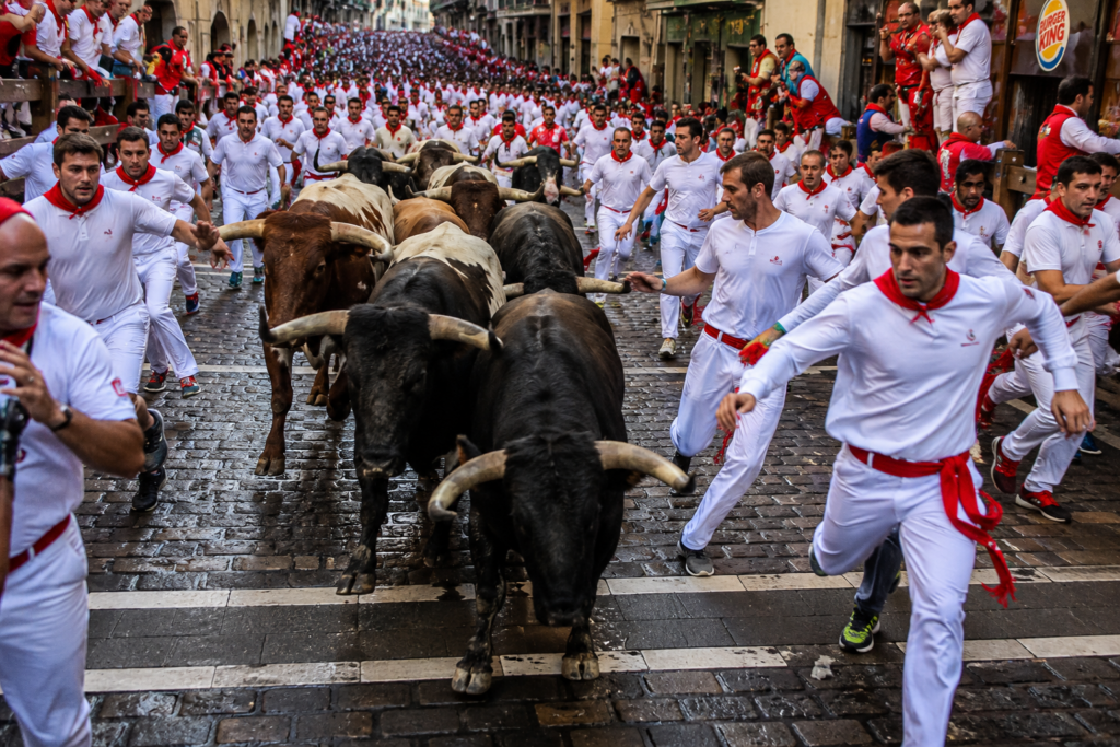 ferm pedimos - A San Fermín pedimos…