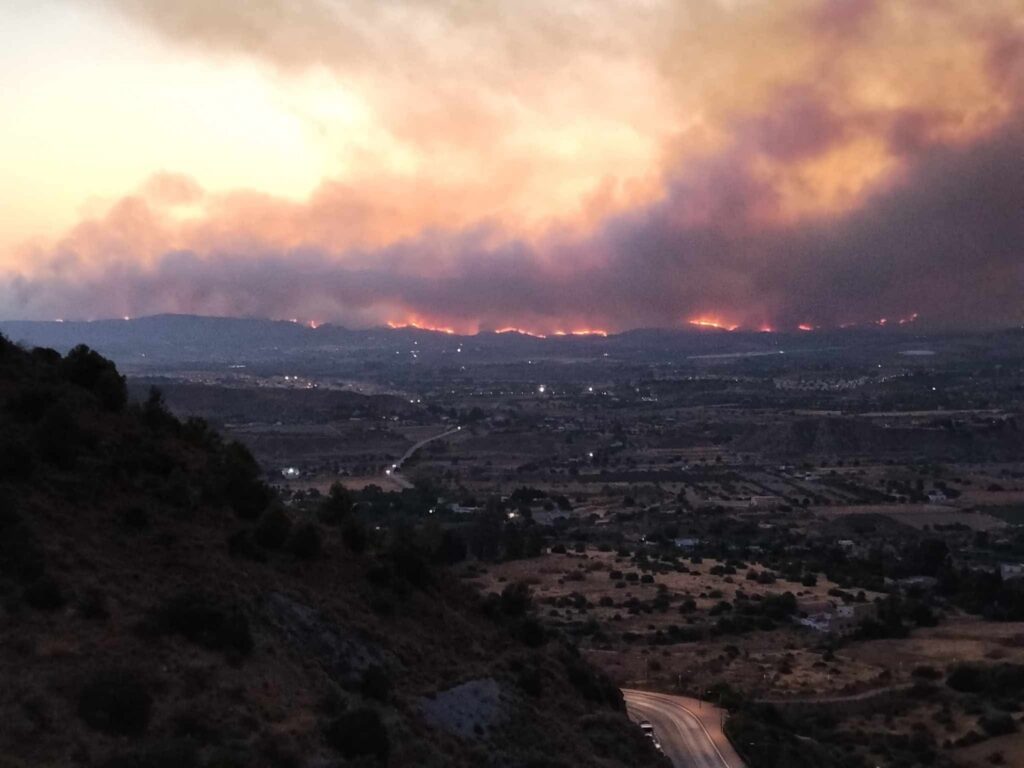 Tragedia sin precedentes en Almería: al menos doce fallecidos en el devastador incendio de Los Gallardos almer incendio - Tragedia sin precedentes en Almería: al menos doce fallecidos en el devastador incendio de Los Gallardos