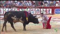 toro cuando - CUANDO EL TORO VUELVE A SER TORO
