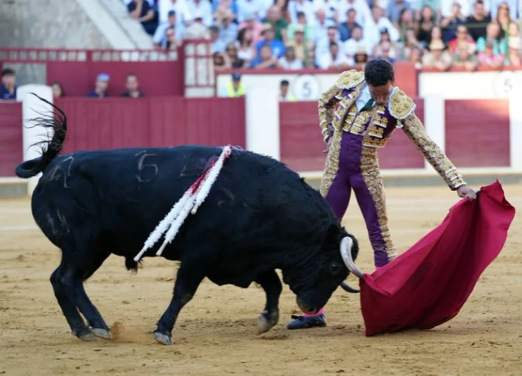 David de Miranda, confirmado para el sábado en Jaén pese a la cogida de Zaragoza david miranda - David de Miranda, confirmado para el sábado en Jaén pese a la cogida de Zaragoza